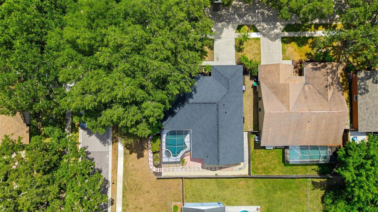 3040 Windridge Oaks Dr, Palm Harbor, FL 34684