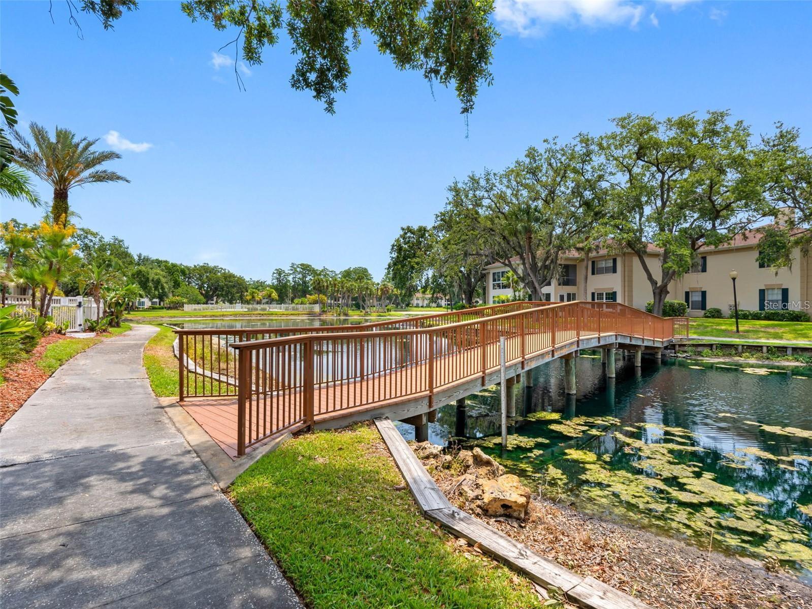 10391 Carrollwood Ln #294, Tampa, FL 33618
