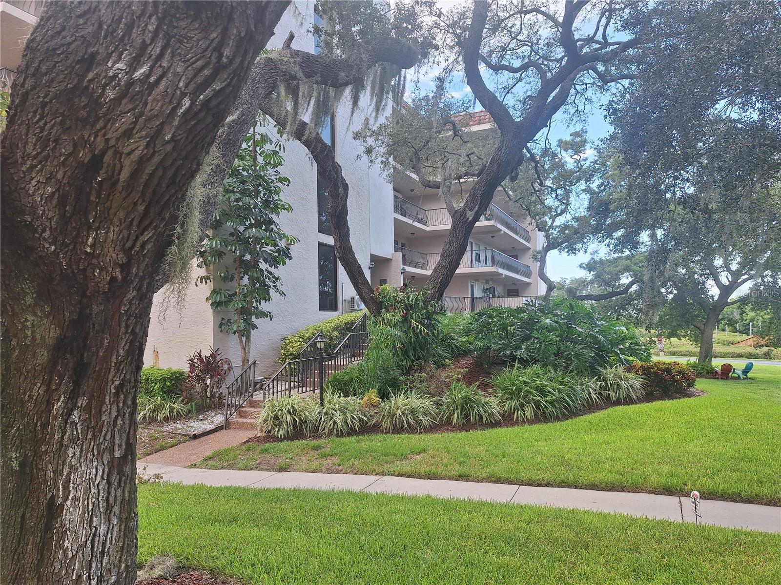 504 S Florida Ave #215, Tarpon Springs, FL 34689