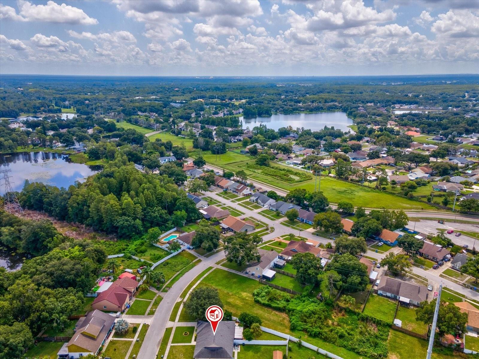 3439 Laurel Dale Dr, Tampa, FL 33618