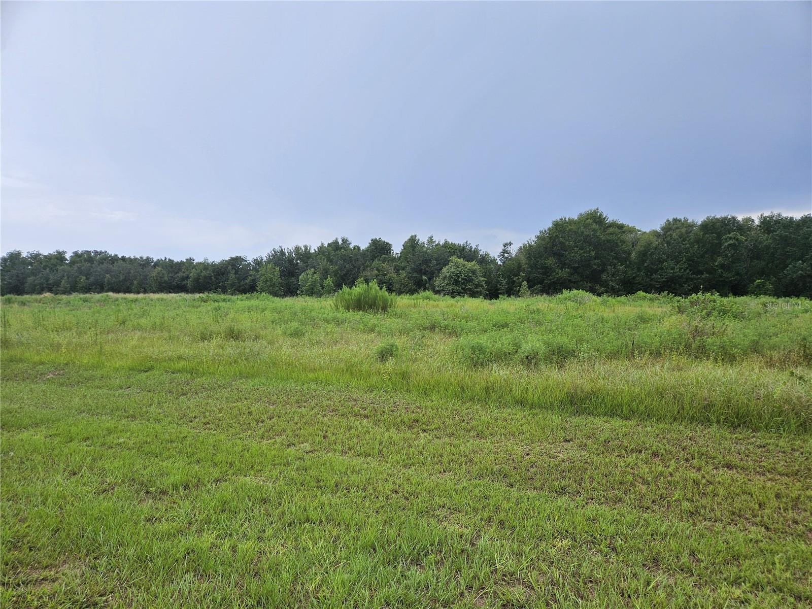 8881 Valerie Ct, Zephyrhills, FL 33540