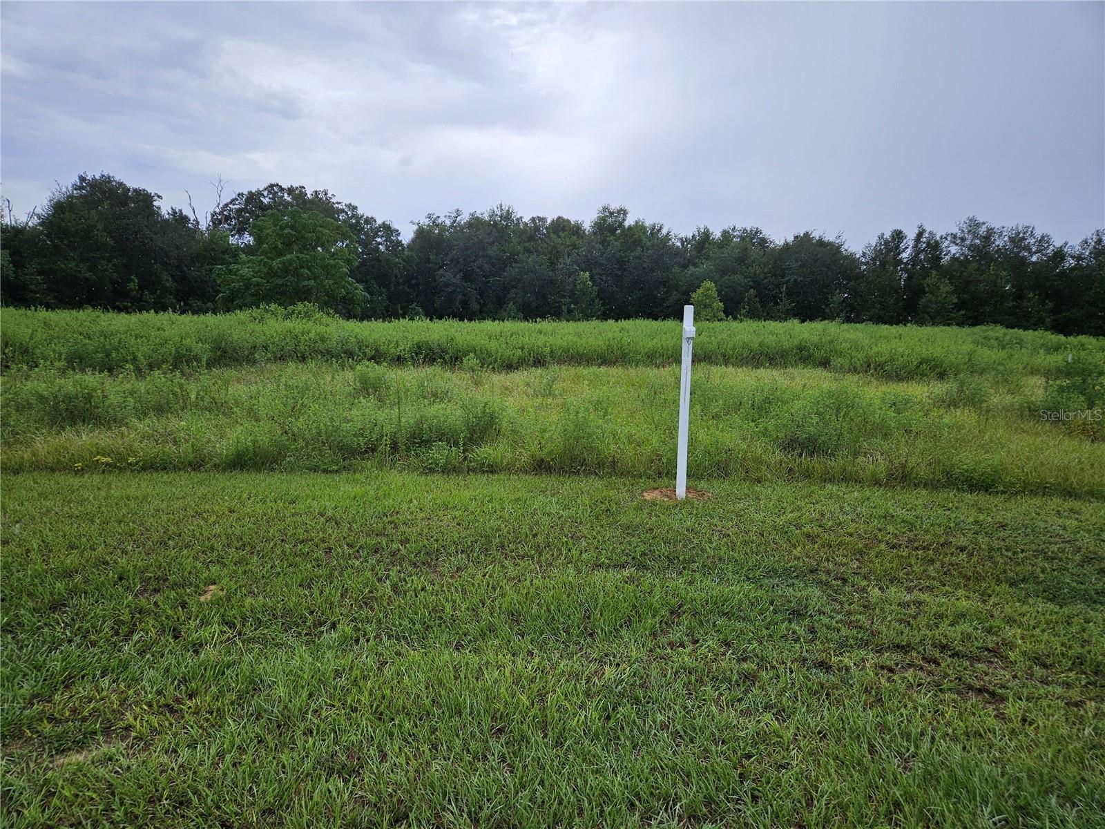 8801 Valerie Ct, Zephyrhills, FL 33540