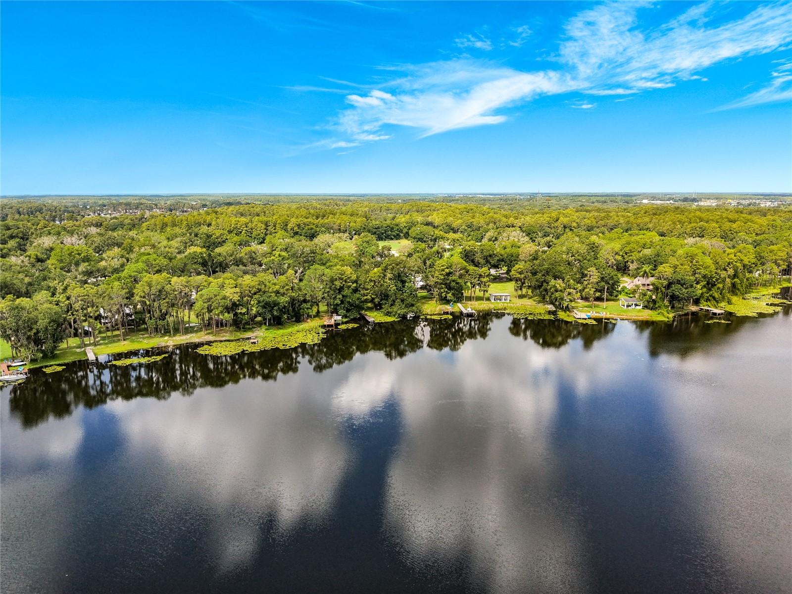14446 Shangrila Ln, Odessa, FL 33556