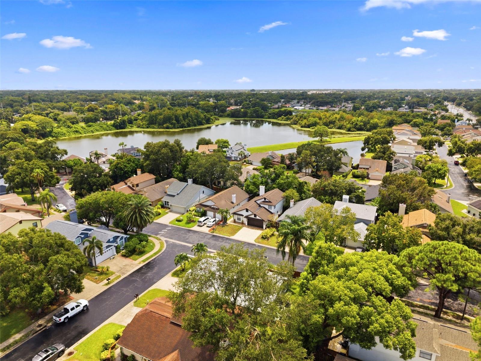 2234 Springflower Dr, Clearwater, FL 33763