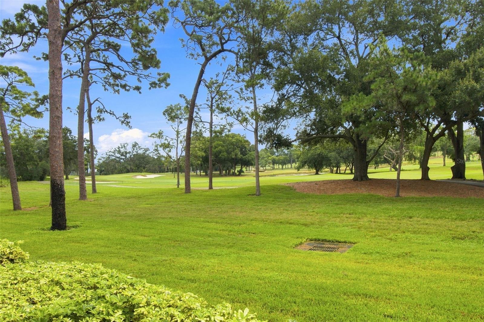 36750 Us Highway 19 #21105, Palm Harbor, FL 34684