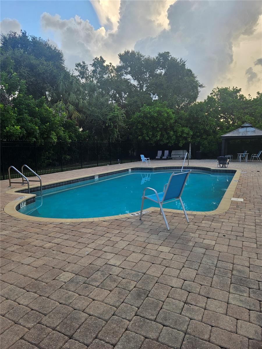 701 S Madison Ave #515, Clearwater, FL 33756