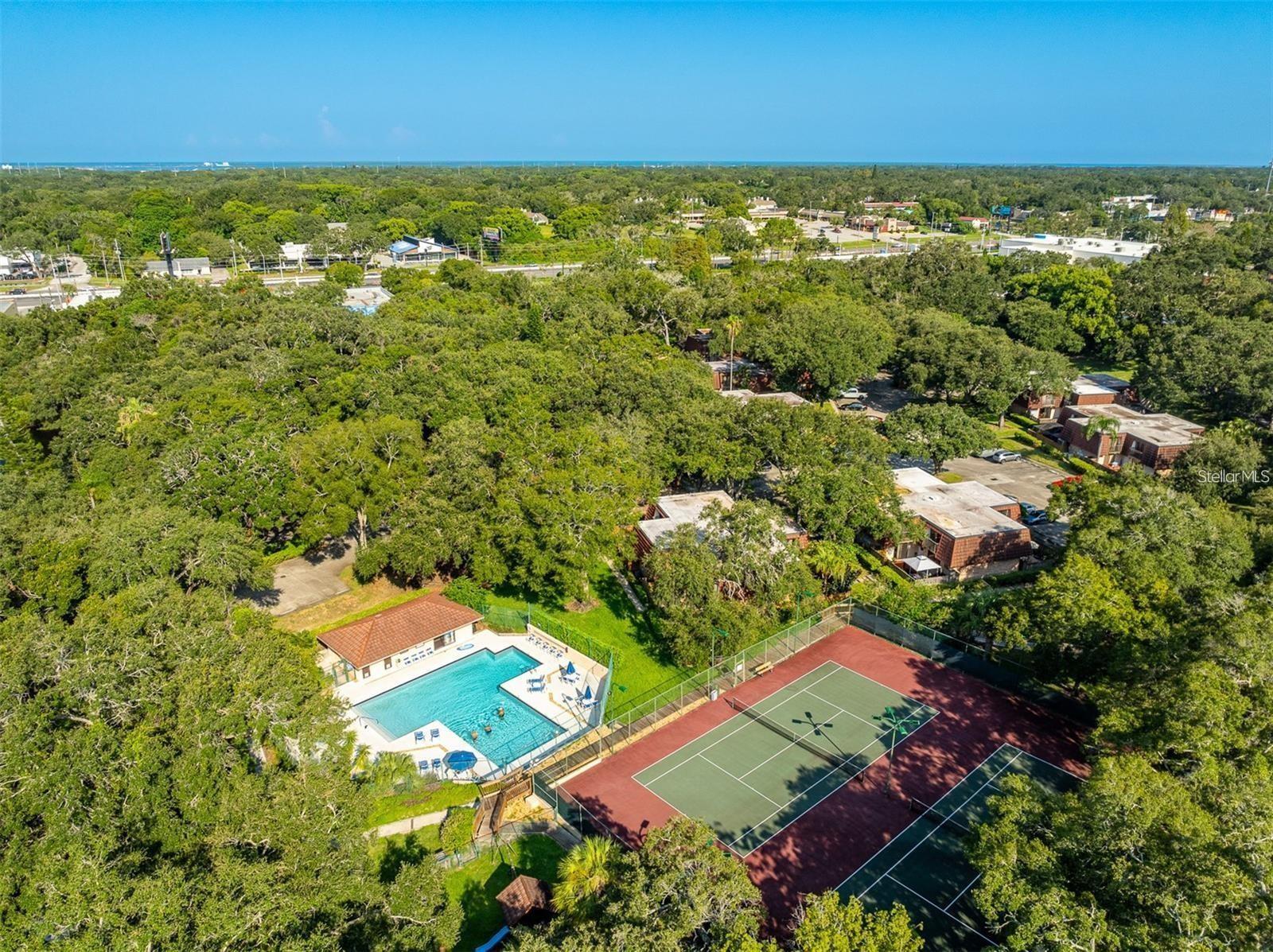 2612 6th Ct, Palm Harbor, FL 34684
