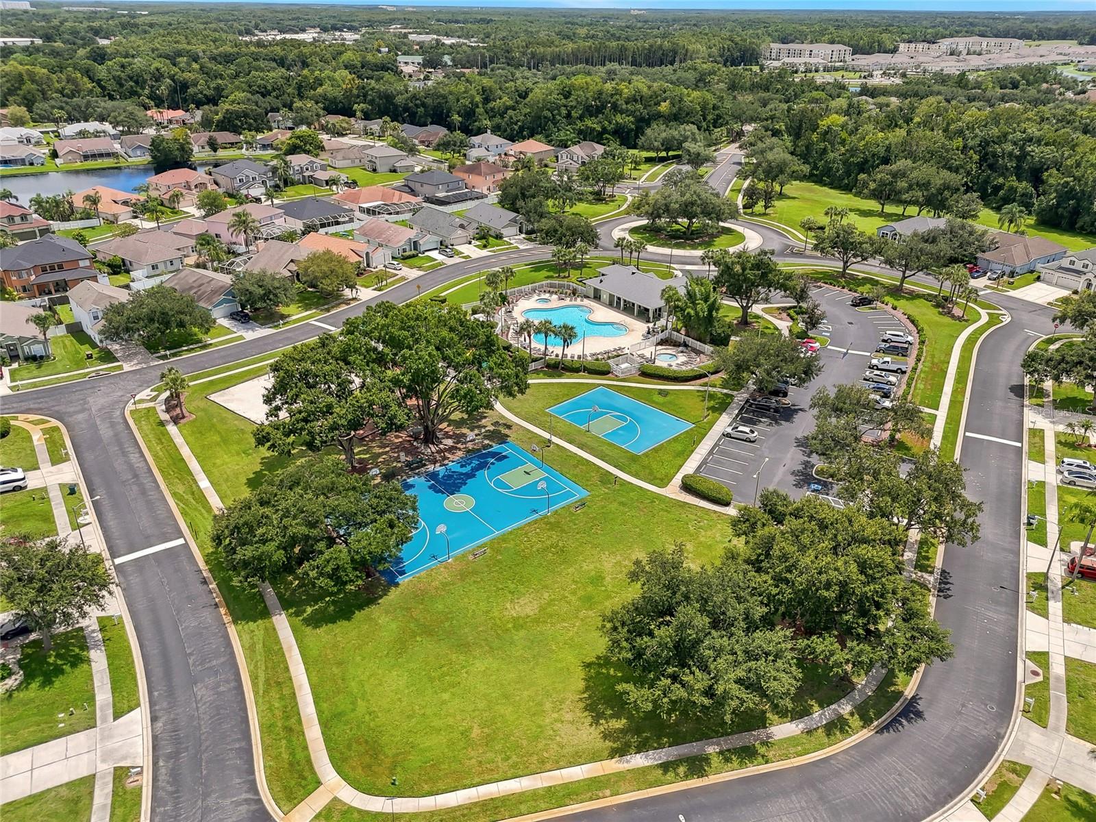 25928 Crippen Dr, Land O Lakes, FL 34639