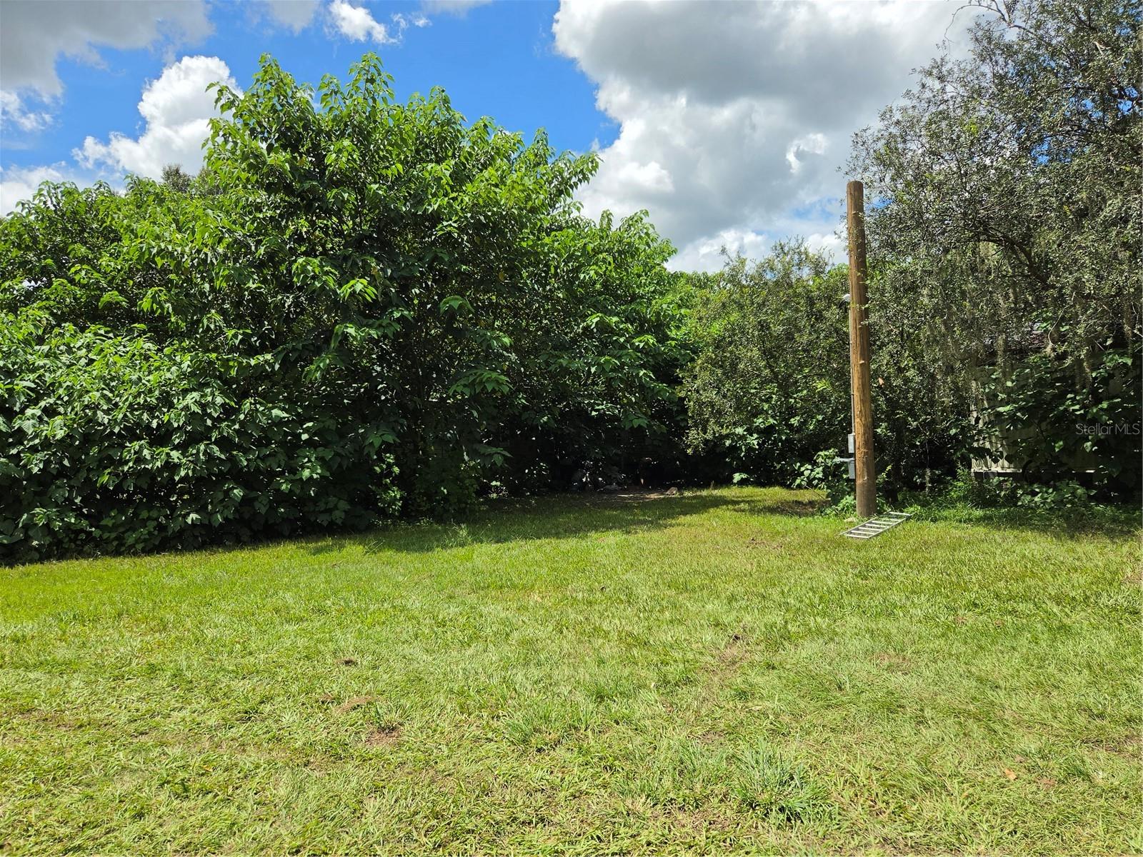33349 Arthur Dr, Wesley Chapel, FL 33543