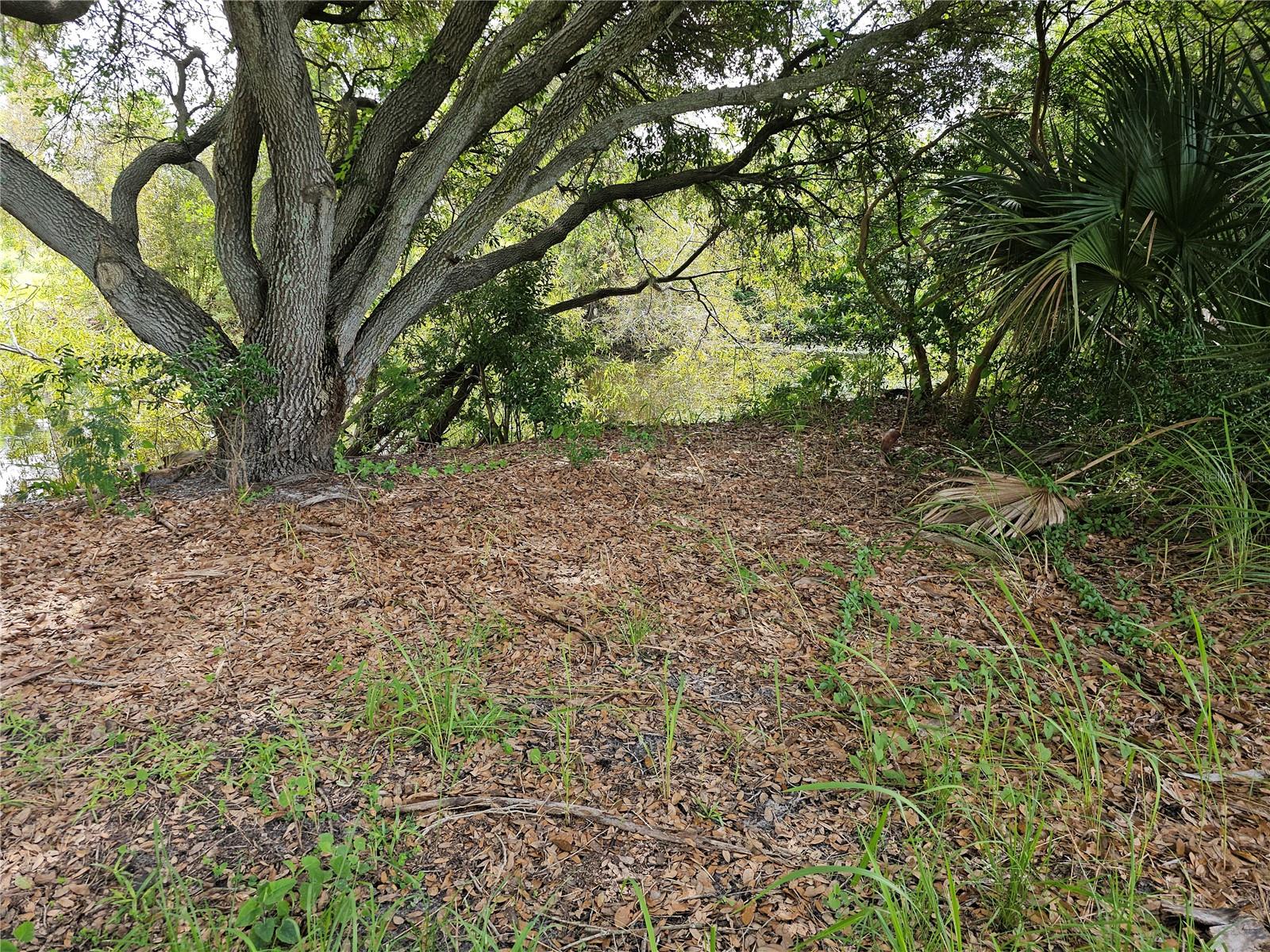 xxx 21st Ave SE, Ruskin, FL 33570
