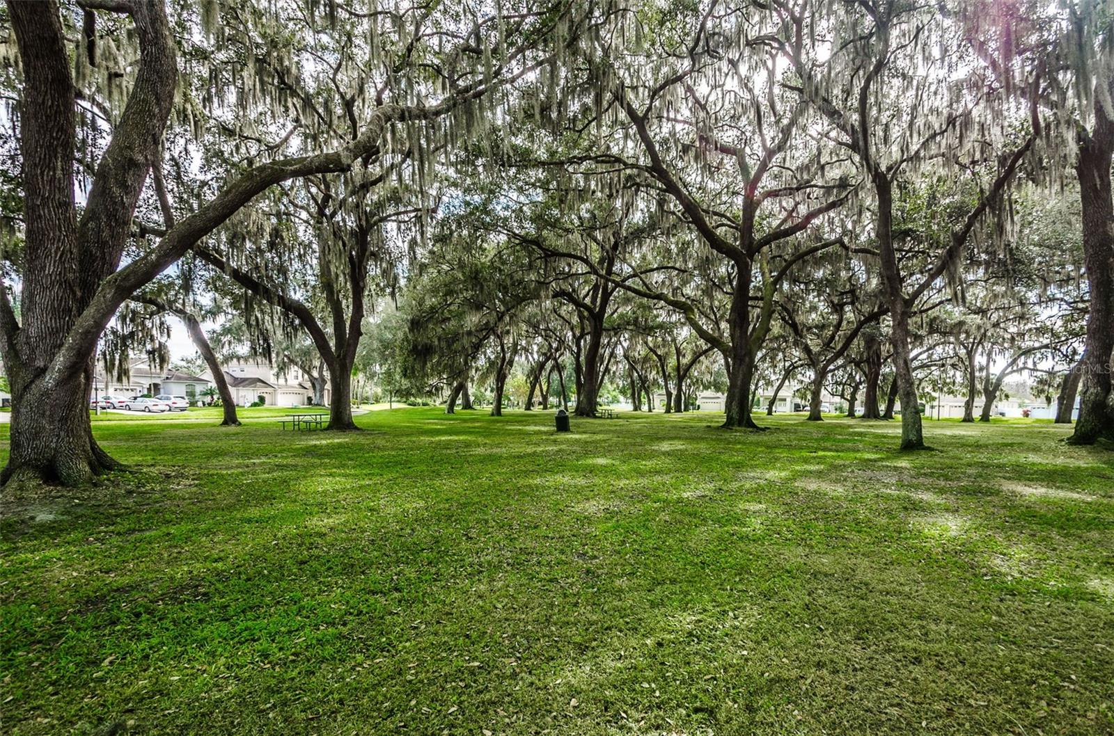 25427 Seven Rivers Cir, Land O Lakes, FL 34639