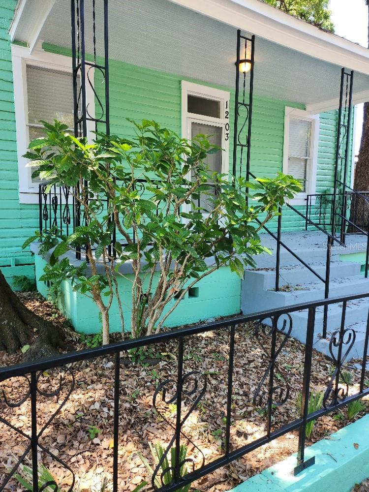 1203 E 15th Ave, Tampa, FL 33605