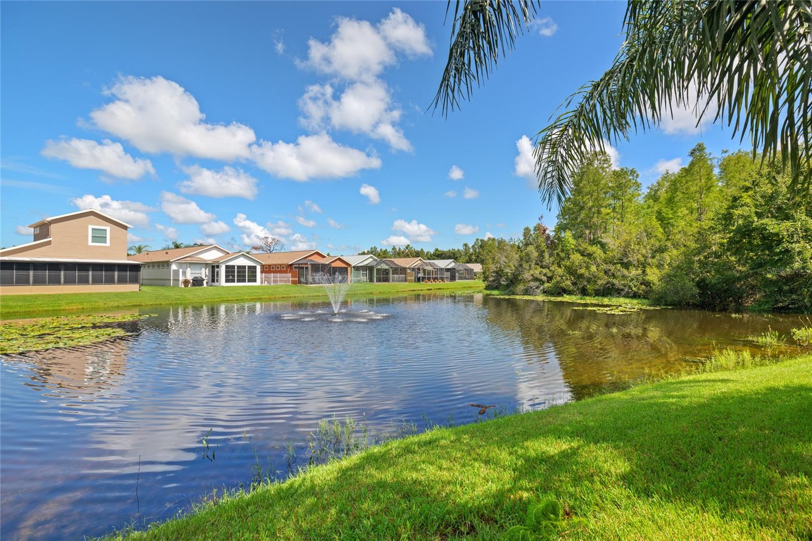 21143 Diamonte Dr, Land O Lakes, FL 34637