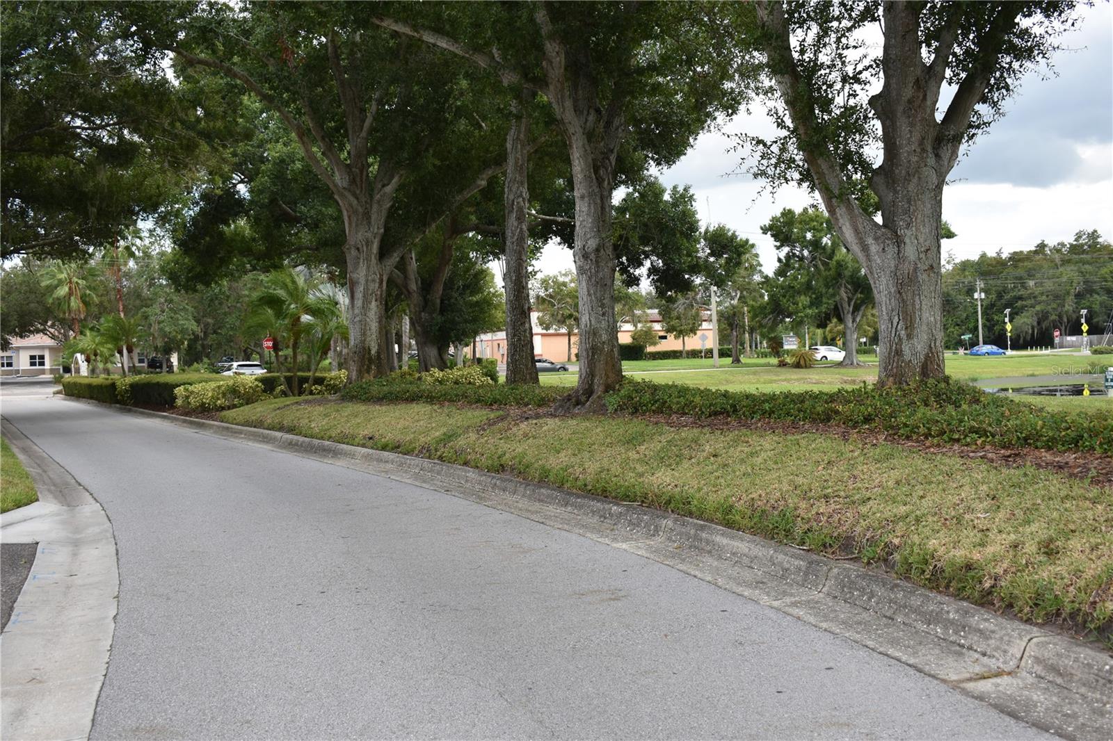 864 Snail Kite Pl, Sun City Center, FL 33573