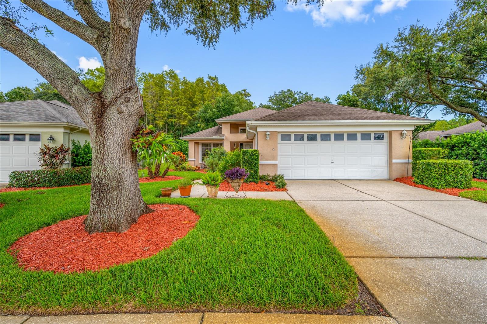 1044 Daleside Ln, New Port Richey, FL 34655