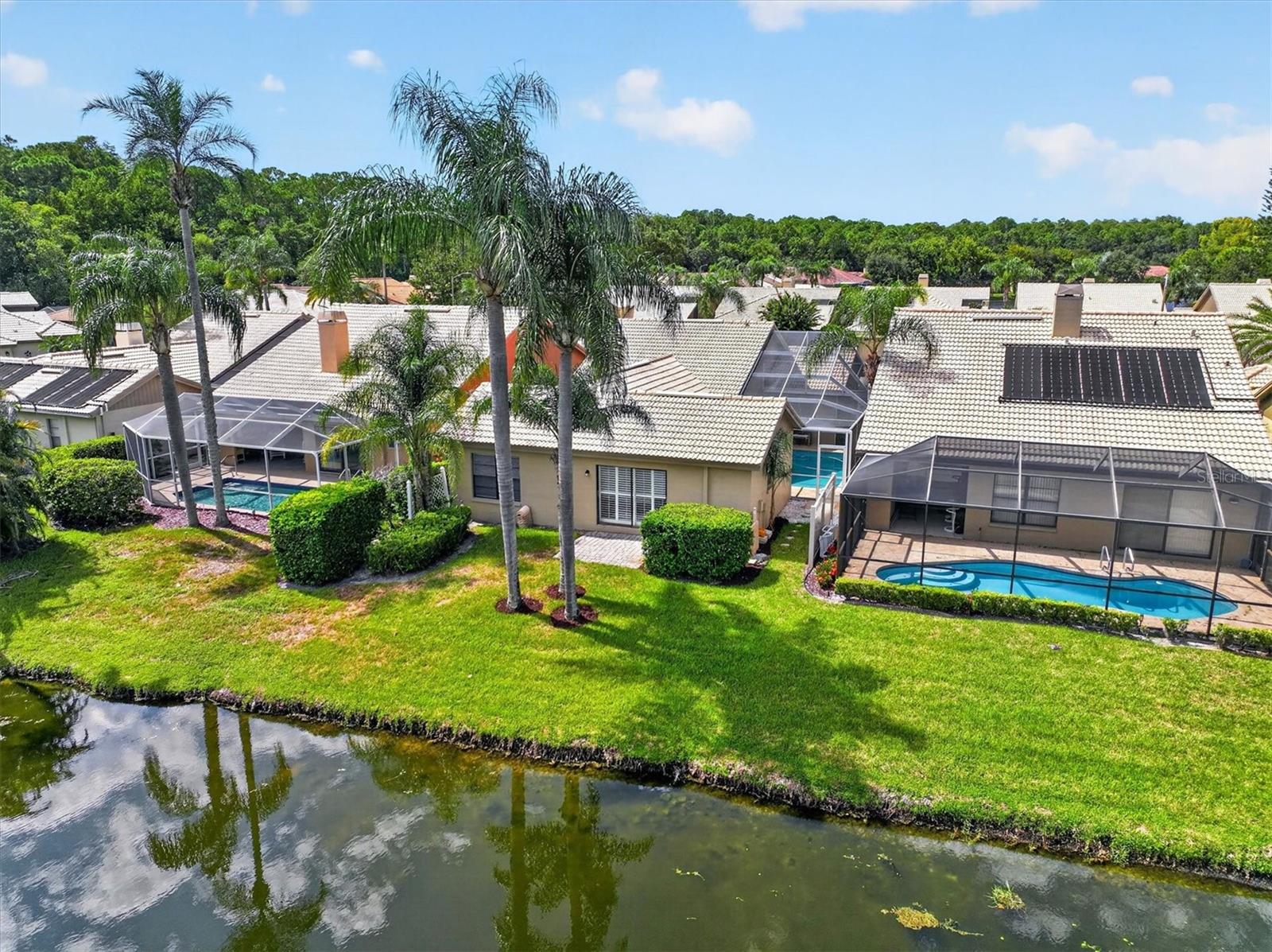 5466 Greyston St, Palm Harbor, FL 34685