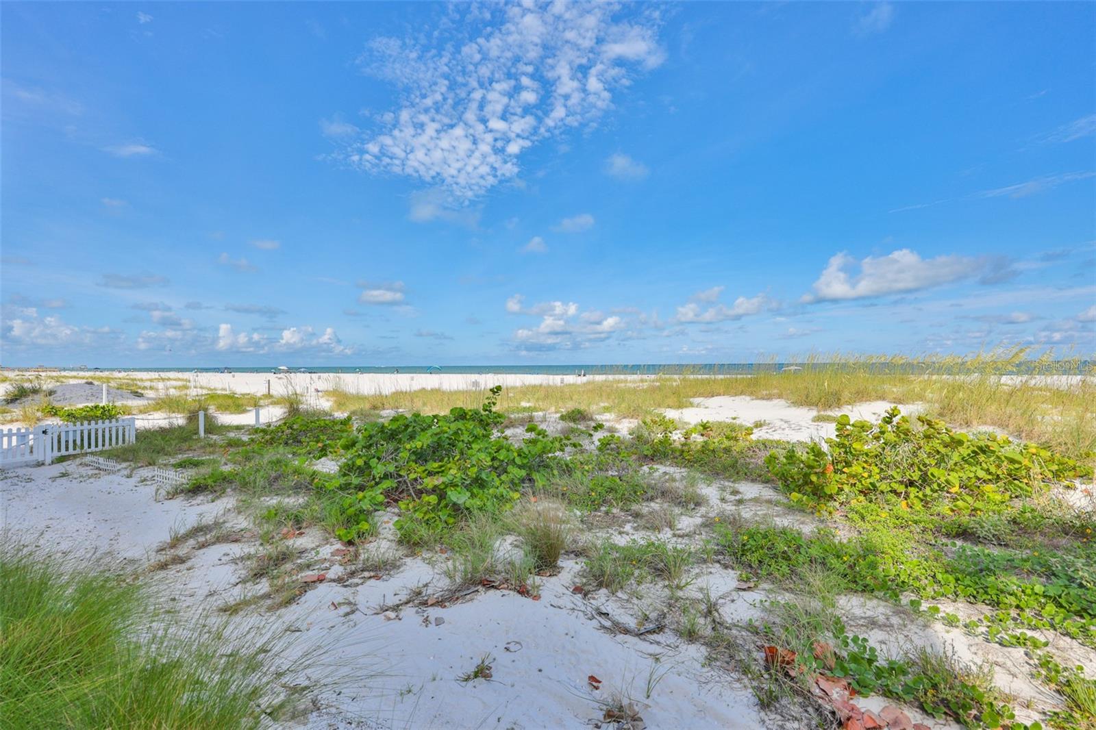 1359 Howard St, Clearwater, FL 33756