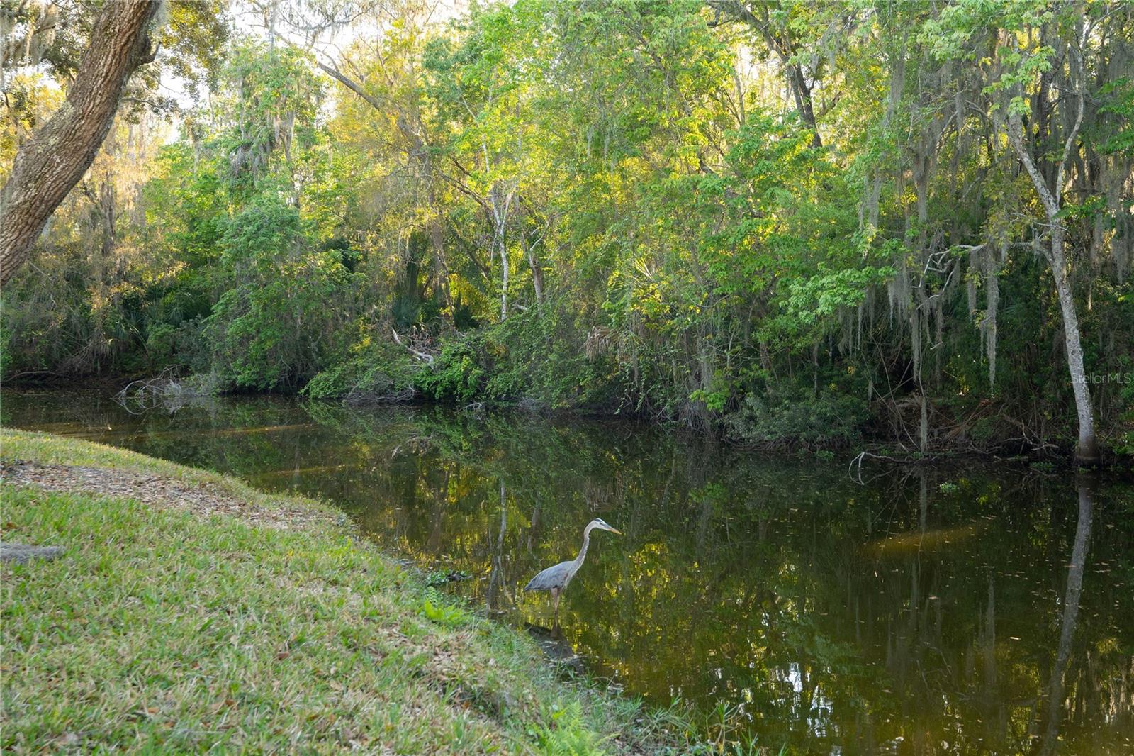 1330 Preservation Way, Oldsmar, FL 34677