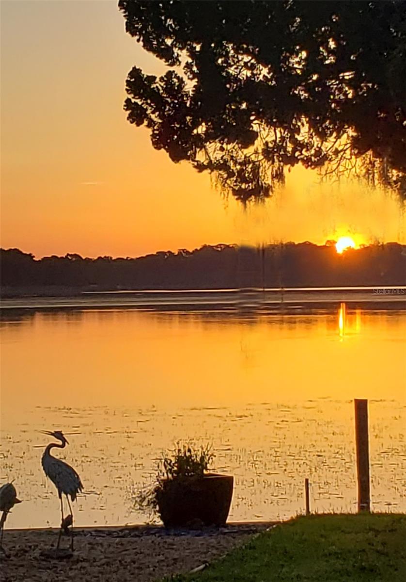 183 Philadelphia Blvd #22, Palm Harbor, FL 34684