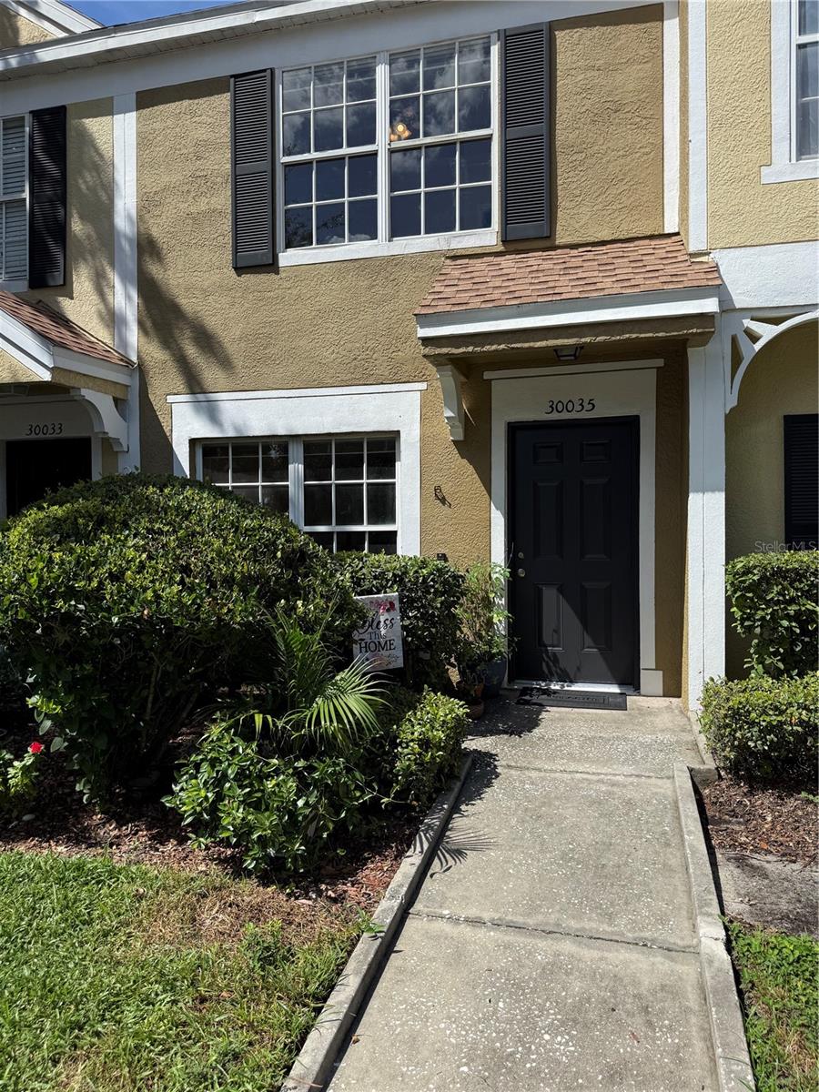 30035 Granda Hills Ct, Wesley Chapel, FL 33543
