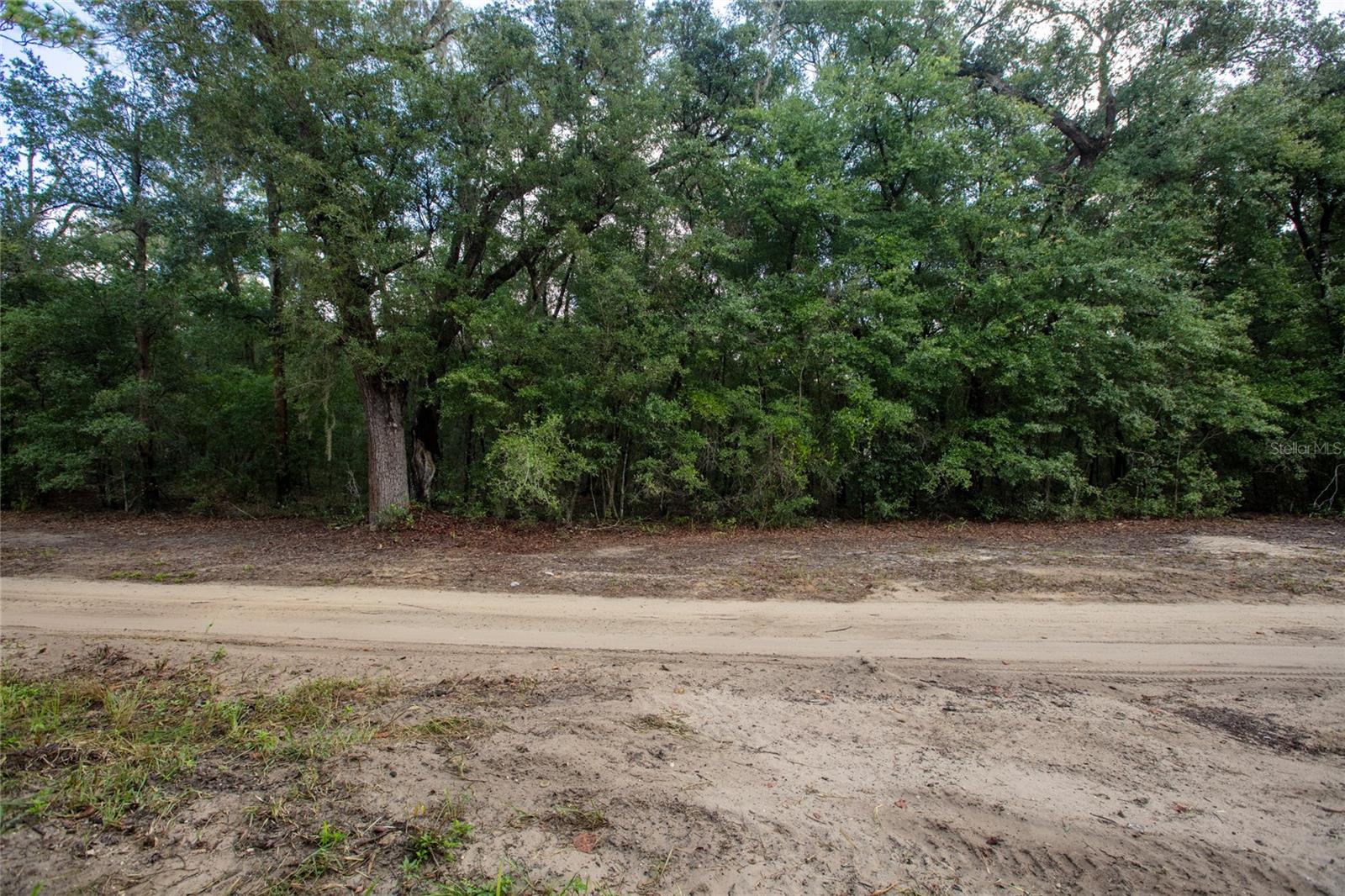 5590 Jenkins Loop Dr, Keystone Heights, FL 32656