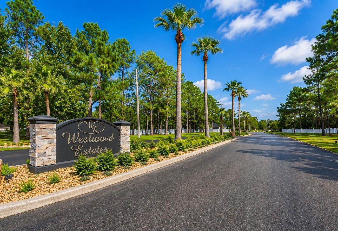 8541 Woodleaf Blvd, Wesley Chapel, FL 33544