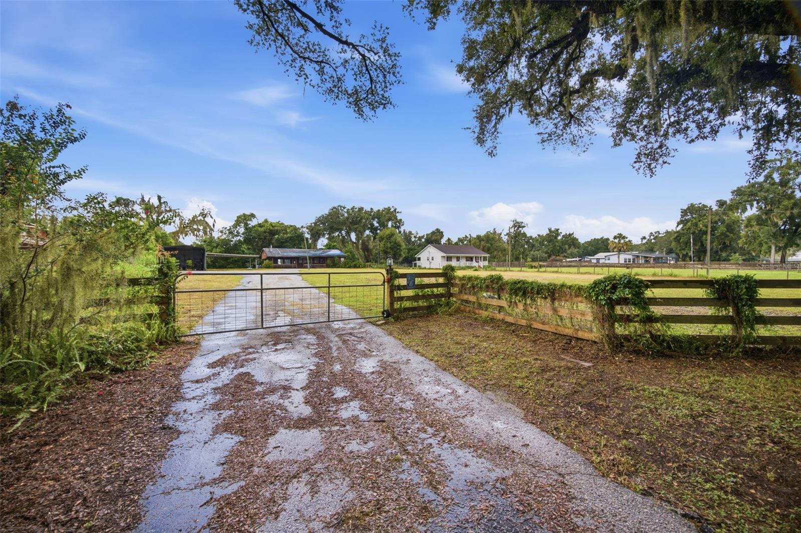 1810 Bland Way, Dover, FL 33527