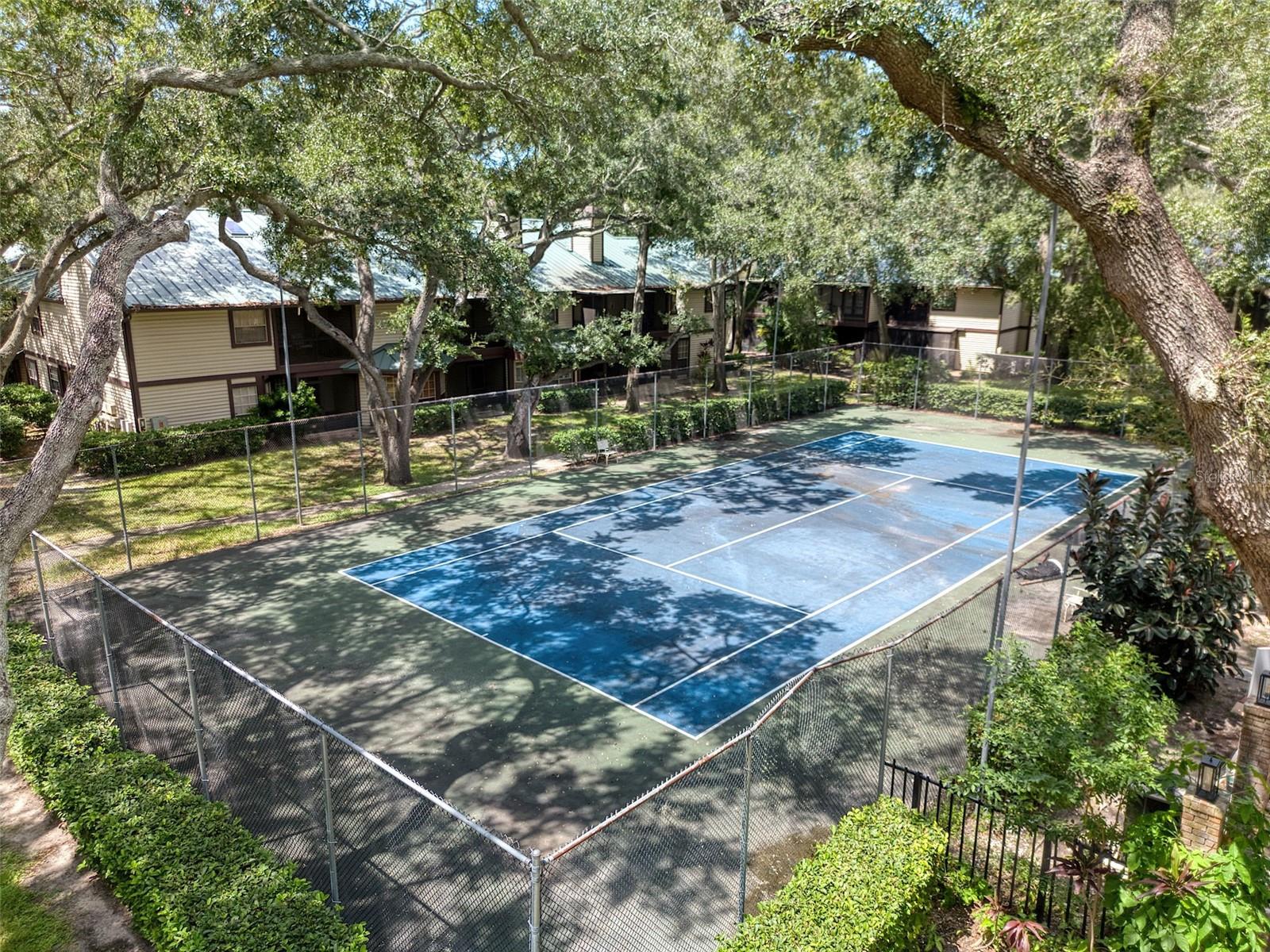 1490 Mahogany Ln #706, Palm Harbor, FL 34683