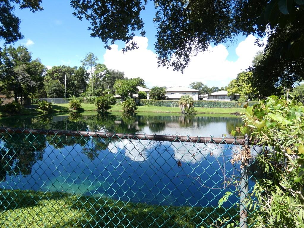 104 Bough Ave #104, Clearwater, FL 33760