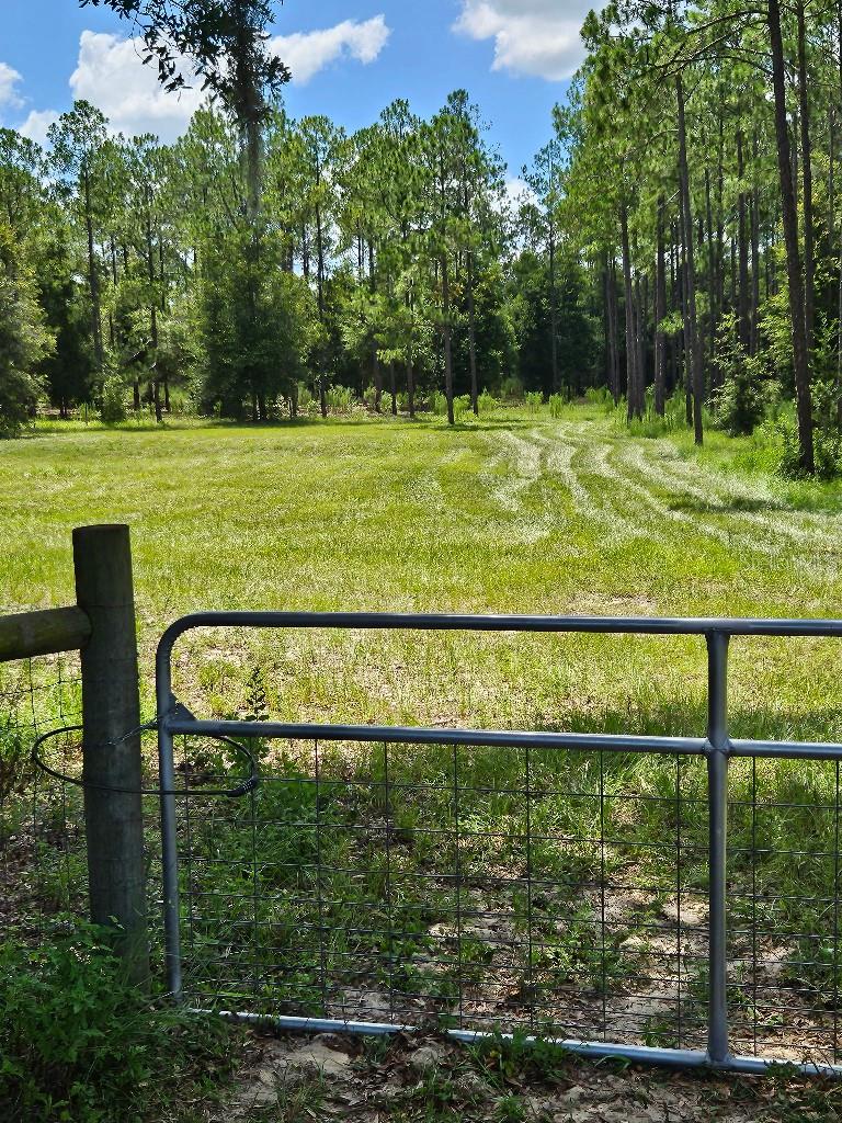 18505 Holloway Ln, Dade City, FL 33523