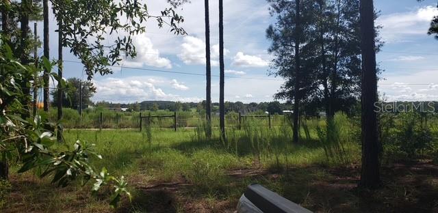 18505 Holloway Ln, Dade City, FL 33523