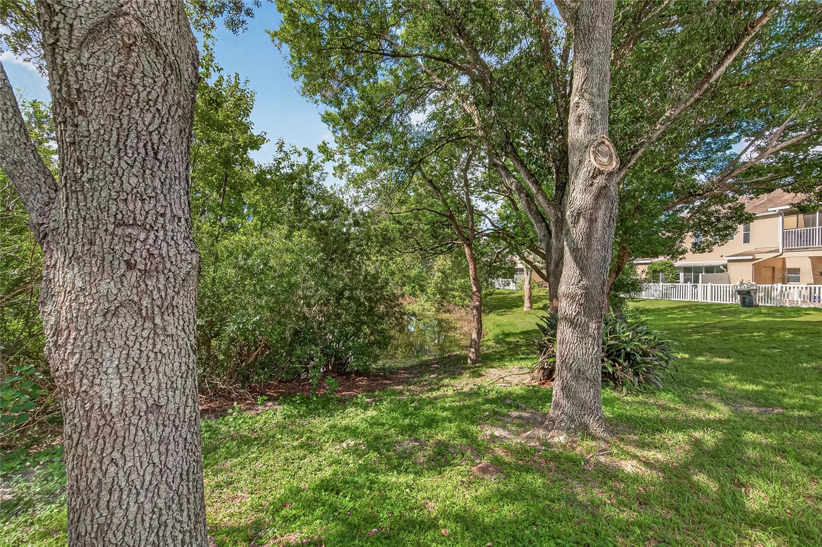 4319 Deermont Cir, Tampa, FL 33624