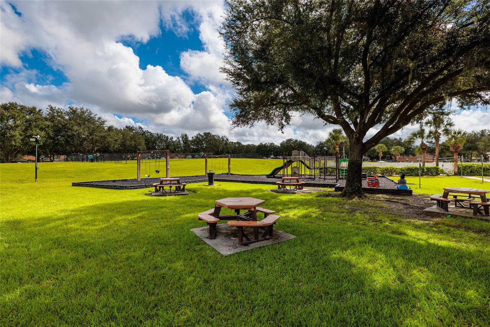 3513 Pine Top Dr, Valrico, FL 33594