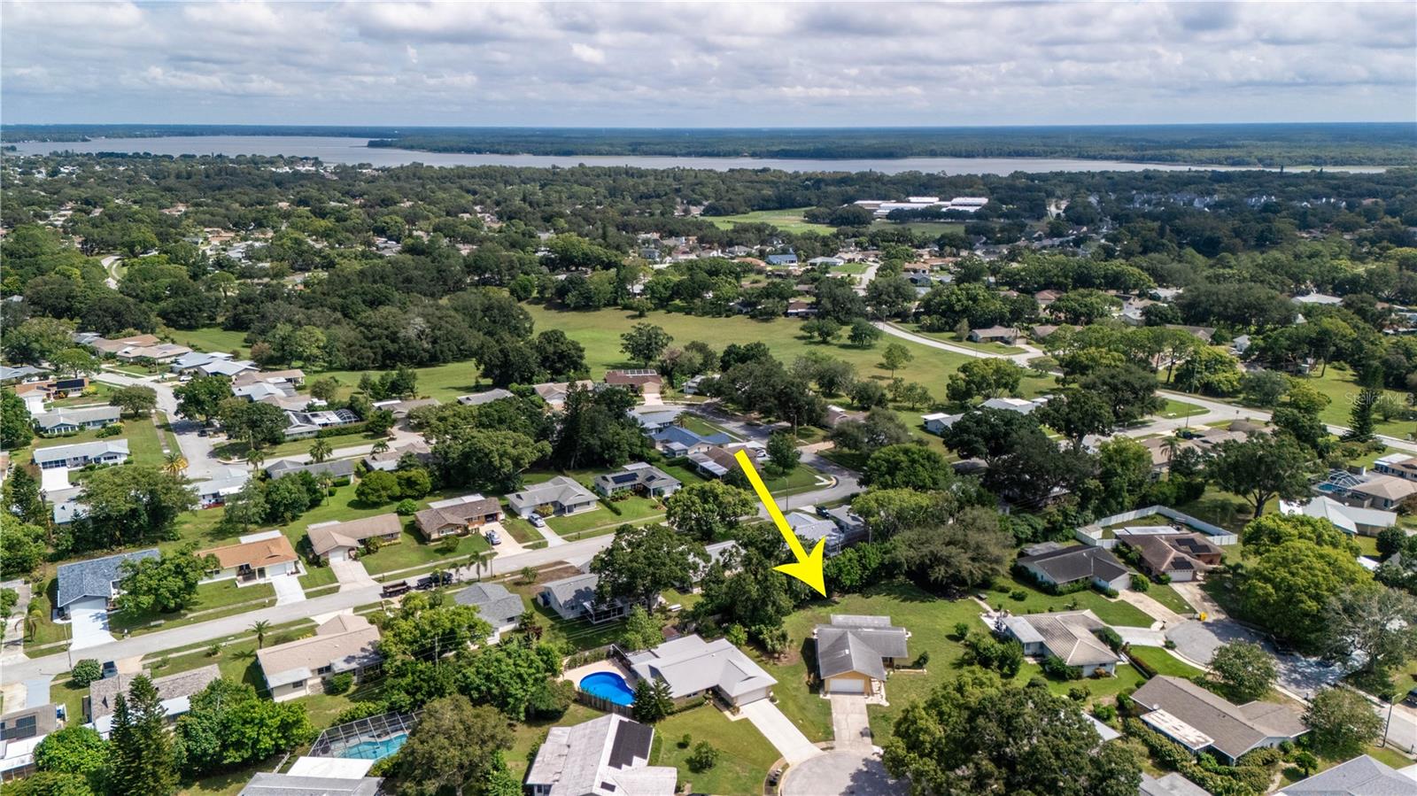 1630 Byrnedale Ct, Palm Harbor, FL 34684
