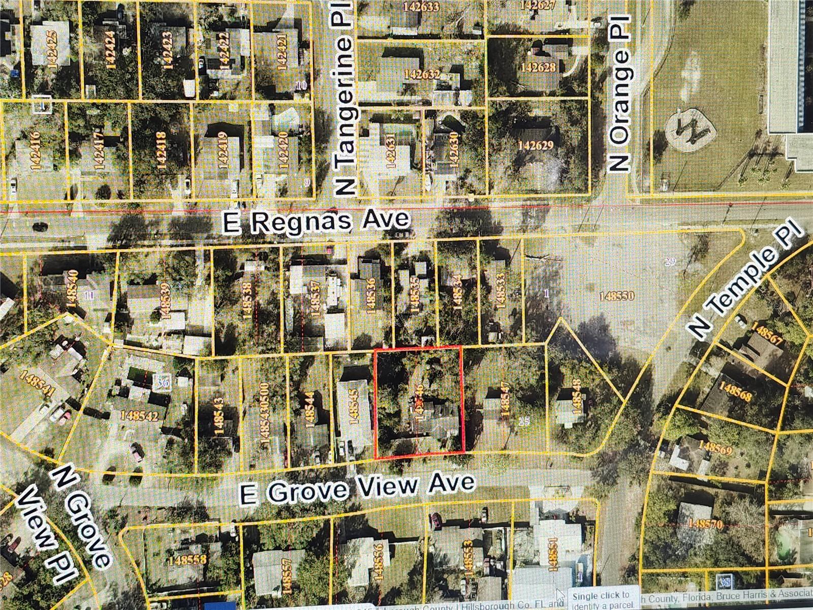 4324 E Grove View Ave, Tampa, FL 33617