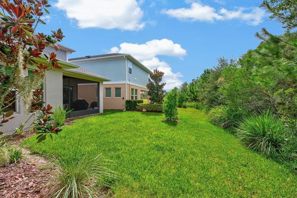 28583 Cozy Creek Dr, Wesley Chapel, FL 33543