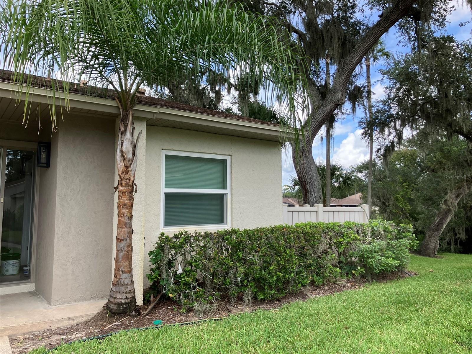 110 Evelyn Ct, Oldsmar, FL 34677