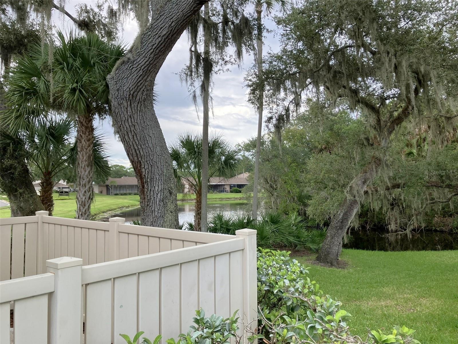 110 Evelyn Ct, Oldsmar, FL 34677