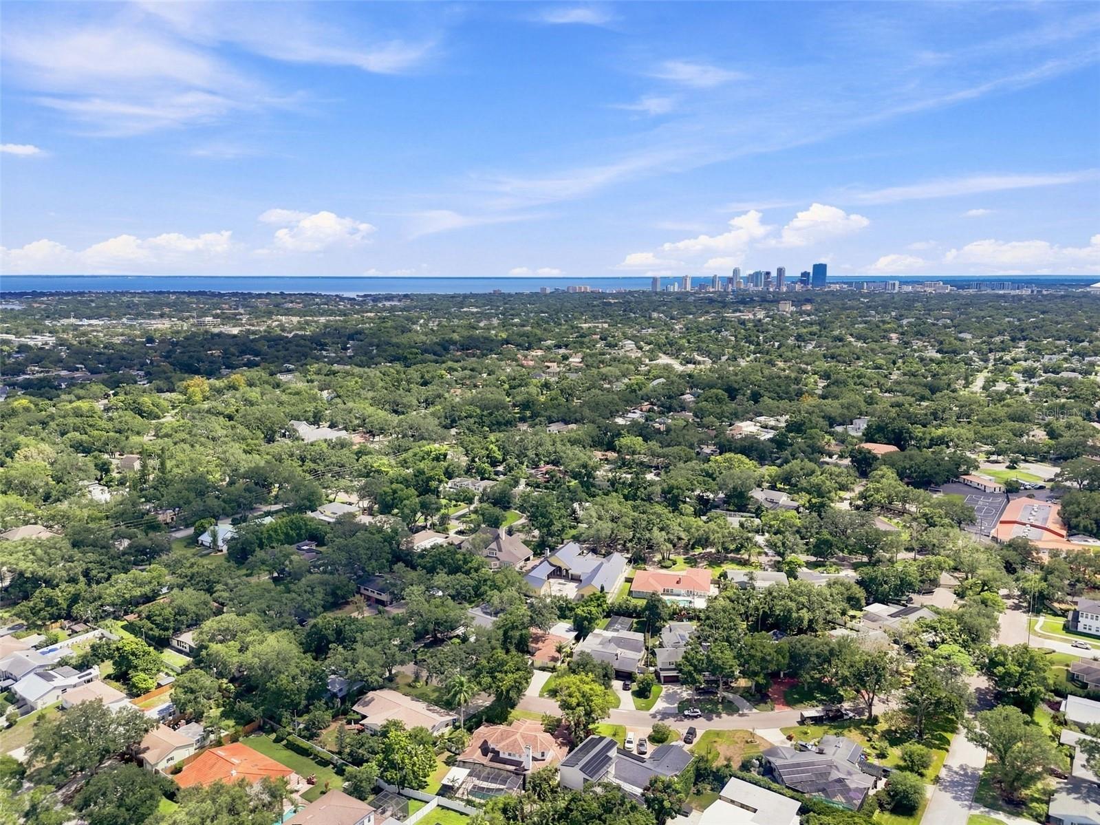 1401 45th Ave N, St Petersburg, FL 33703