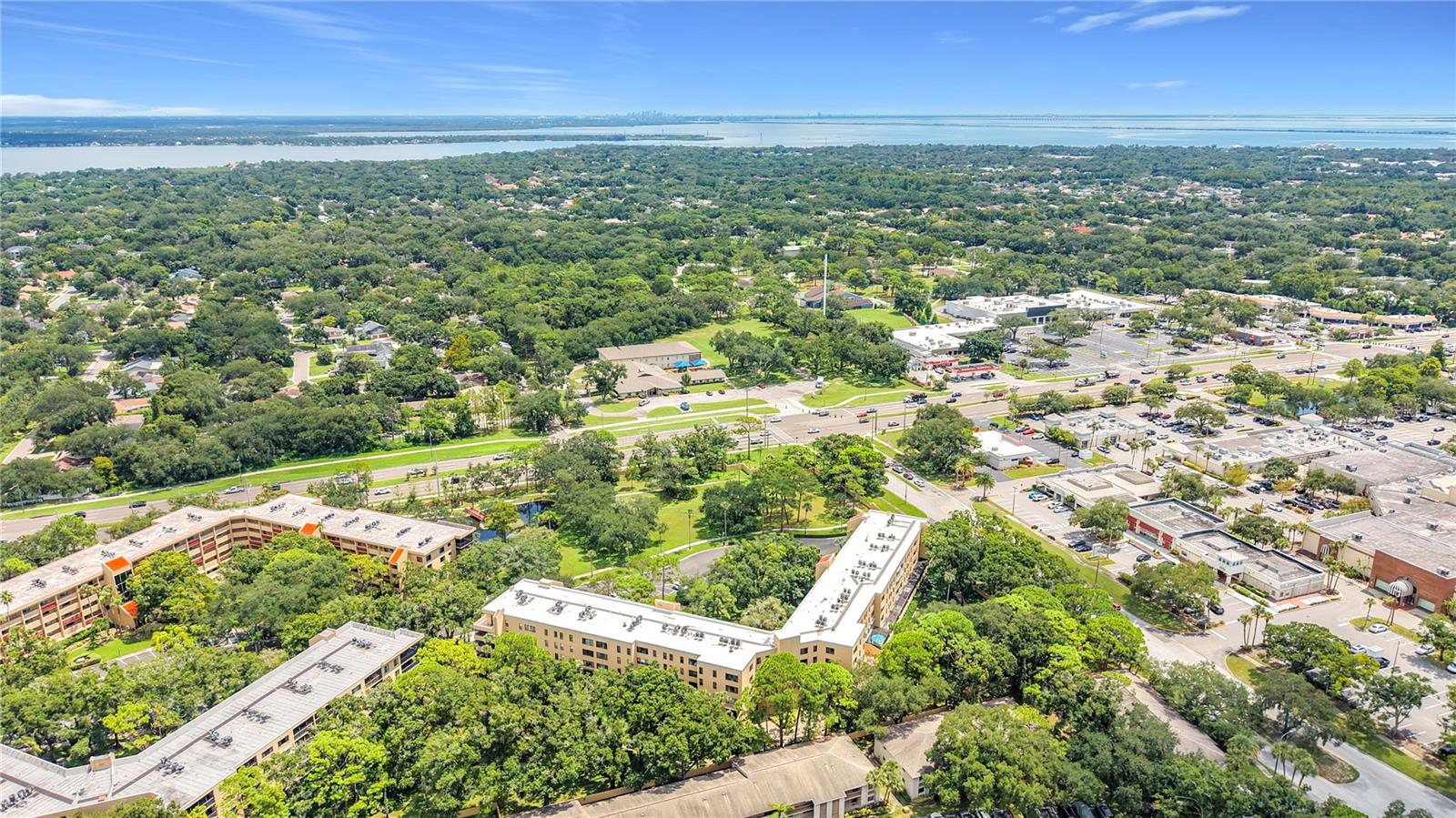 3078 Eastland Blvd #209, Clearwater, FL 33761