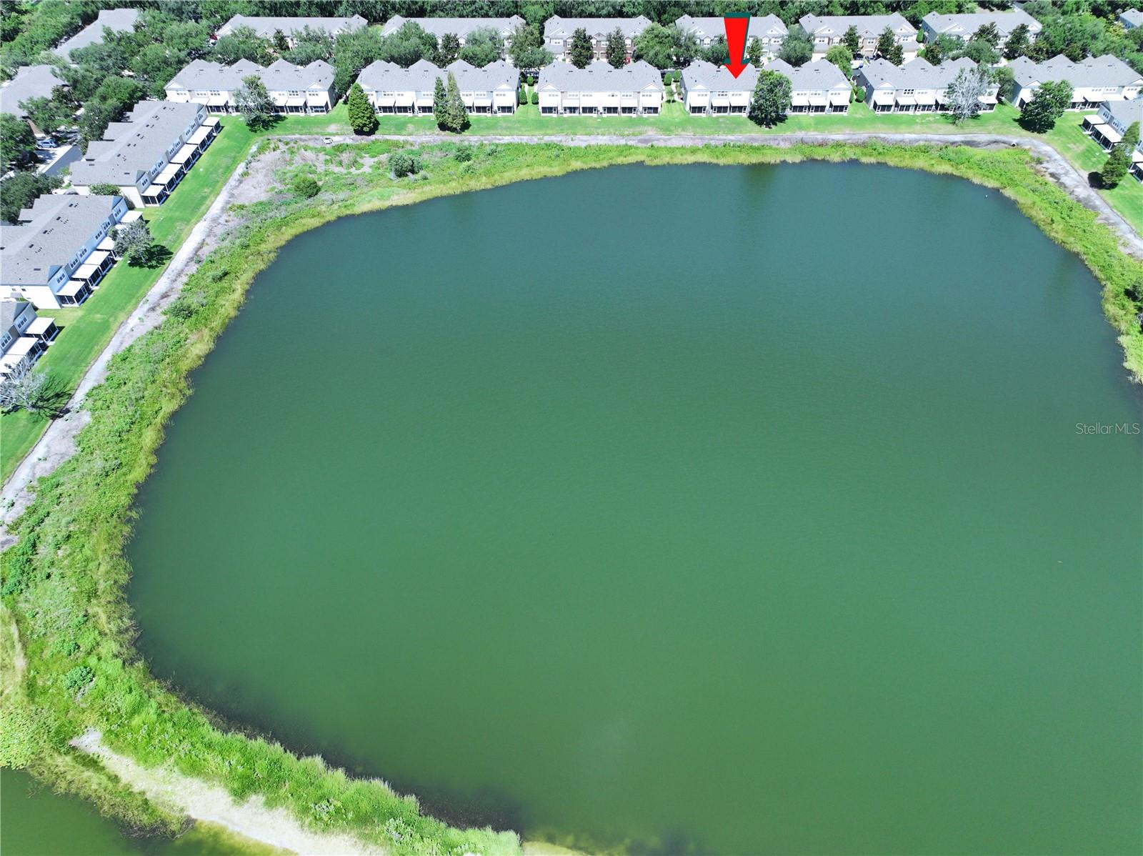 4842 Barnstead Dr, Riverview, FL 33578