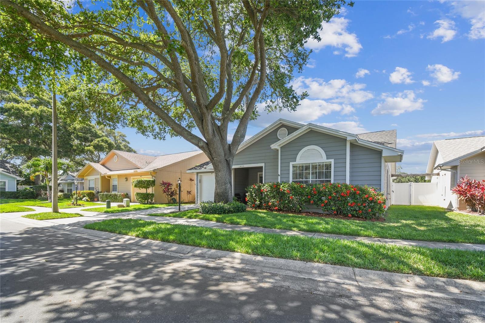 1465 Cairn Ct, Palm Harbor, FL 34683