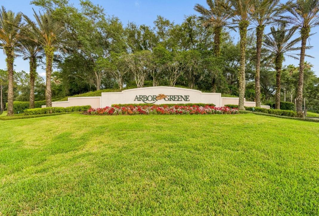 10221 Garden Alcove Dr, Tampa, FL 33647
