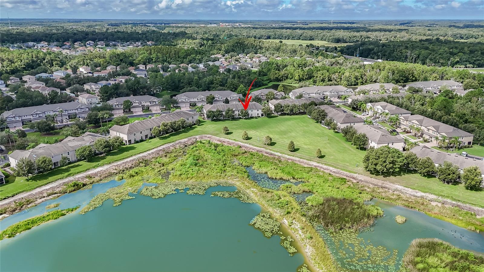 26945 Juniper Bay Dr, Wesley Chapel, FL 33544