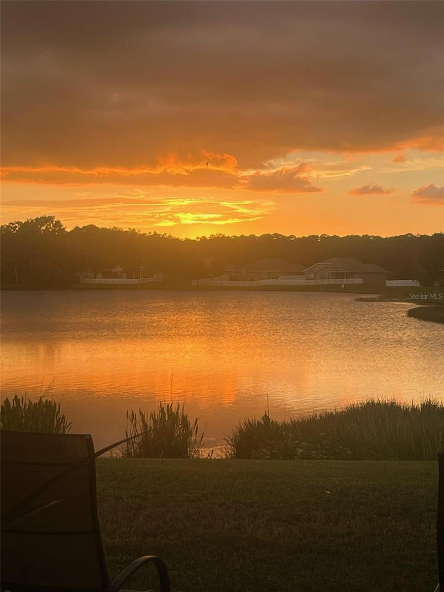 18022 Lake Reflections Blvd, Lutz, FL 33558