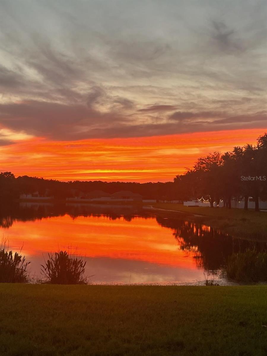 18022 Lake Reflections Blvd, Lutz, FL 33558
