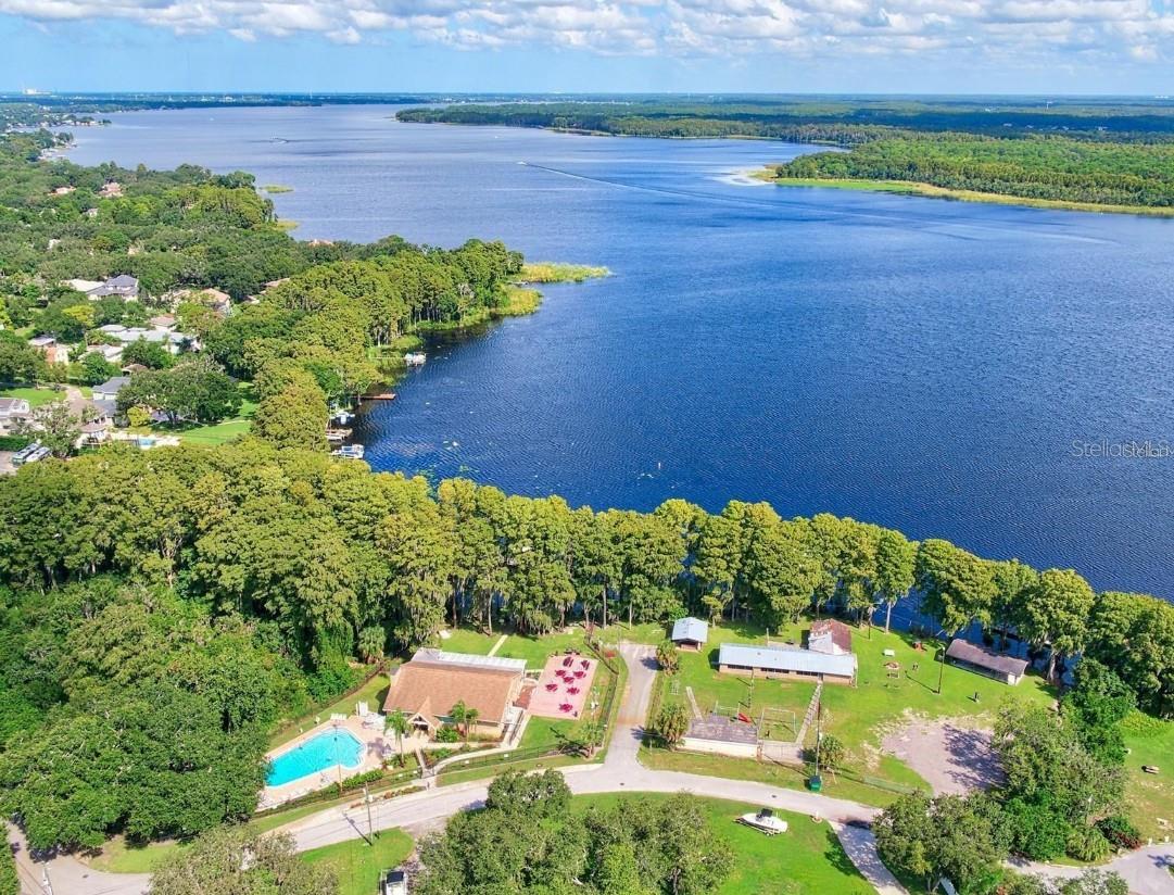 2950 Curling Ct, Palm Harbor, FL 34684