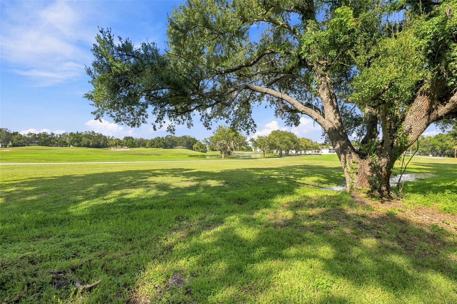 700 Starkey Rd #311, Largo, FL 33771