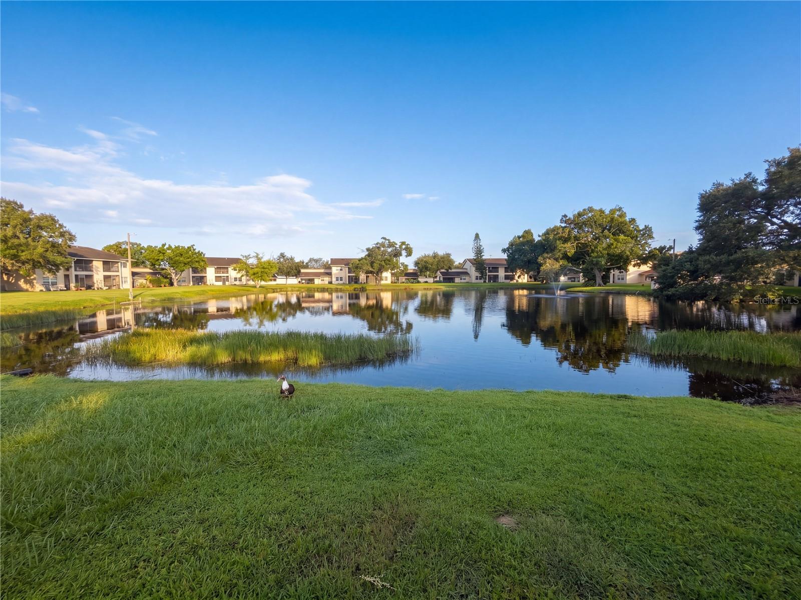 6301 58th St N #302, Pinellas Park, FL 33781