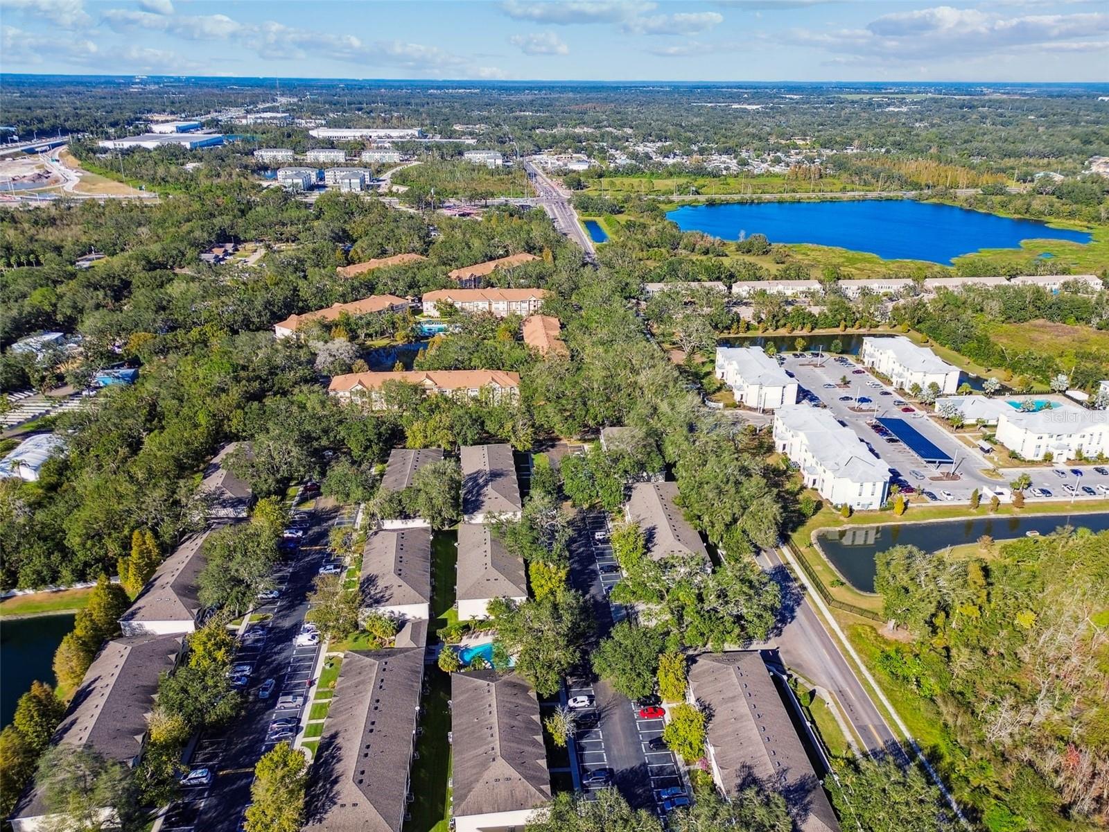 3430 High Hampton Cir, Tampa, FL 33610